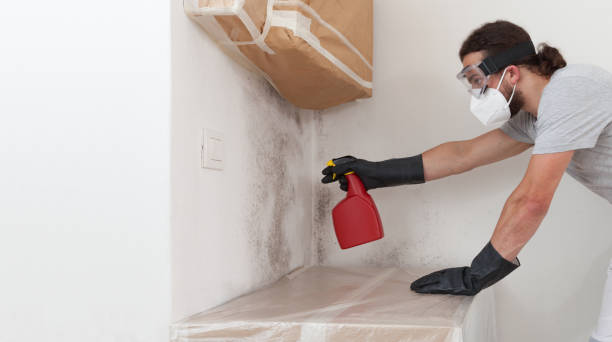 Professional Mold Remediation technician working in Nunn, CO