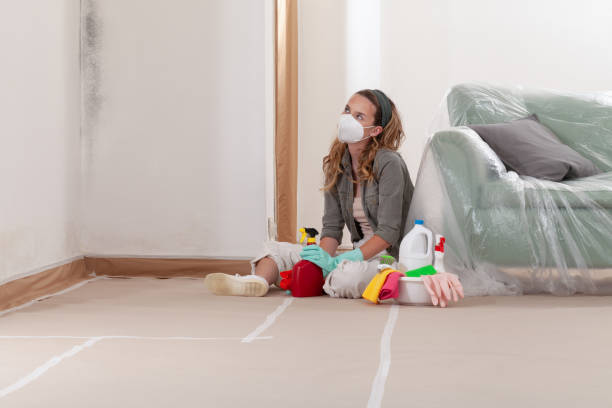 Reliable Mold Remediation contractor in Nunn, CO by WQB Mold Removal